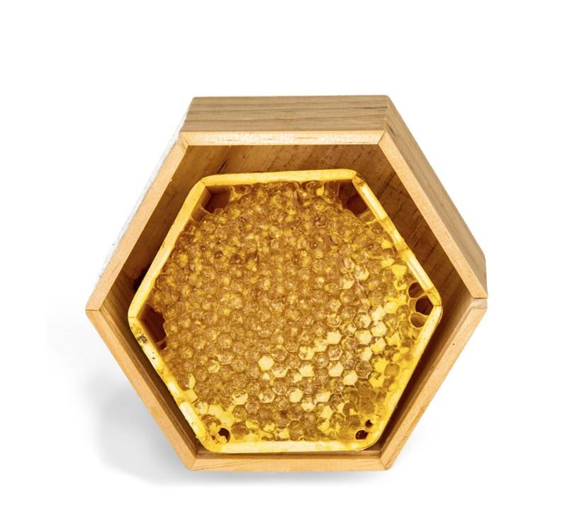 Comprar Panal de miel pura Bresca artesanal Jalea de Luz 150 gr